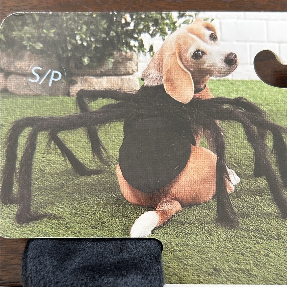 NWT Black Spider Dog Costume pet Halloween
